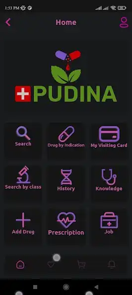 Play Pudina as an online game Pudina with UptoPlay