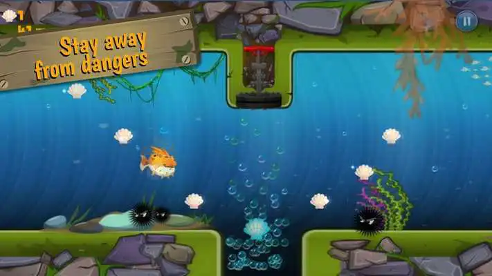 Play Puff Fish