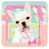 Free play online Pug Beauty Salon 2 APK Free play online Pug Beauty Salon 2 APK