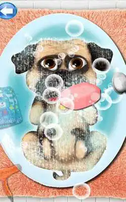 Play Pug Beauty Salon 2