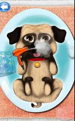 Play Pug Beauty Salon 2