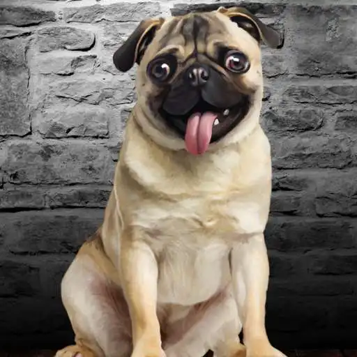 Play Pug Clicker Game APK