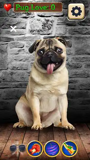 Play Pug Clicker Game  and enjoy Pug Clicker Game with UptoPlay