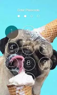 Play Pug HD X Lock Screen