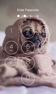 Play Pug HD X Lock Screen
