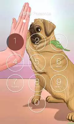 Play Pug HD X Lock Screen