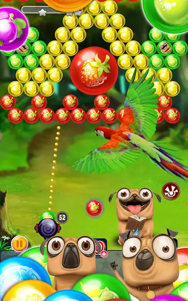 Play Pug Pop Bubble Shooter 2  and enjoy Pug Pop Bubble Shooter 2 with UptoPlay