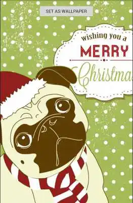 Play Pugs Wallpaper