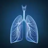 Free play online Pulmonology APK