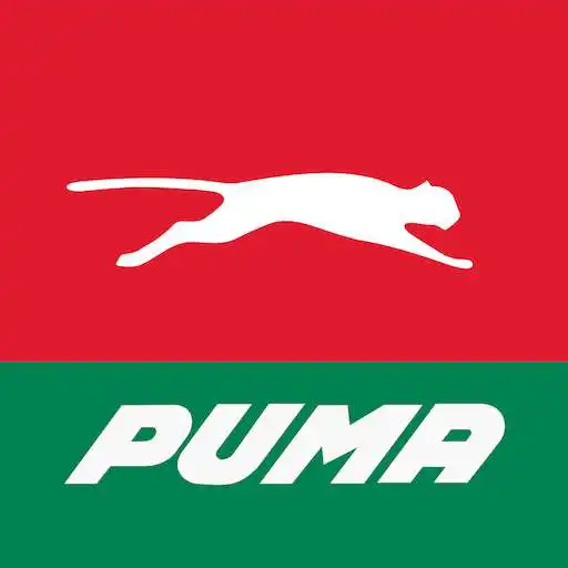 Play Puma FastPay APK