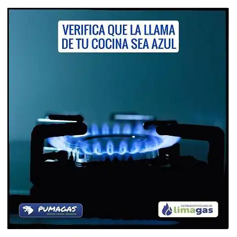 Play pumagas  and enjoy pumagas with UptoPlay
