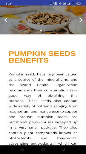Play Pumpkin Seeds World as an online game Pumpkin Seeds World with UptoPlay