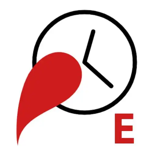 Play Punch Employer APK