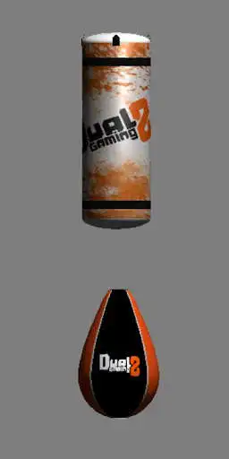 Play Punching bag
