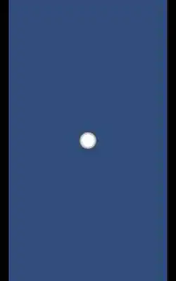 Play Puni
