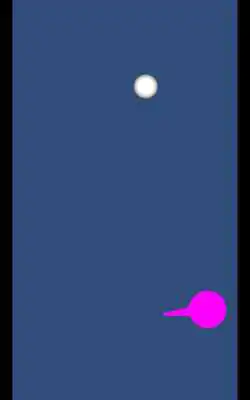 Play Puni