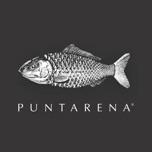 Play Puntarena APK