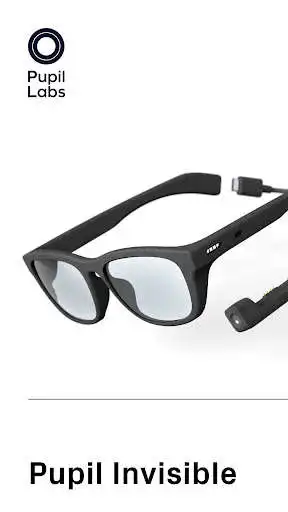 Play Pupil Invisible Companion  and enjoy Pupil Invisible Companion with UptoPlay