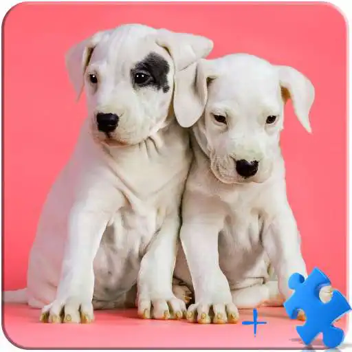 Free play online Puppies Jigsaw Puzzle + LWP APK Free play online Puppies Jigsaw Puzzle + LWP APK