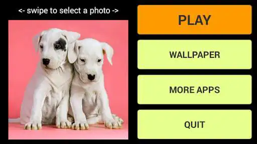 Play Puppies Jigsaw Puzzle + LWP
