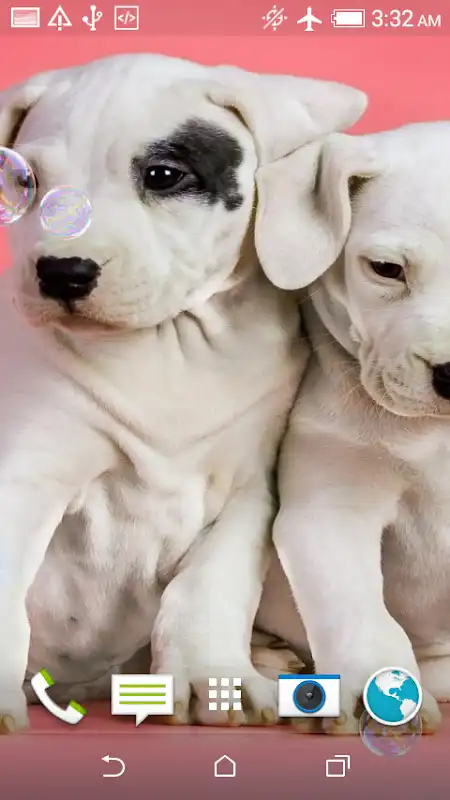 Play Puppies Jigsaw Puzzle + LWP