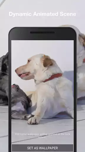 Play Puppies Live Wallpaper
