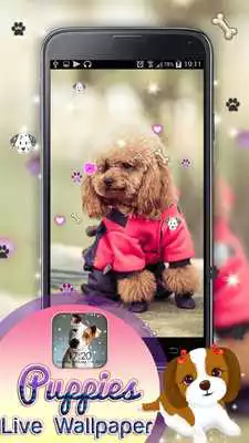 Play Puppies Live Wallpaper