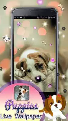 Play Puppies Live Wallpaper