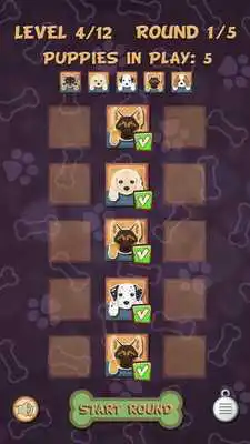 Play Puppies Memory Match