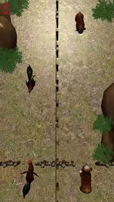 Play Puppies N Roosters Play Puppies N Roosters