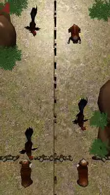 Play Puppies N Roosters Play Puppies N Roosters