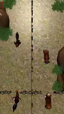 Play Puppies N Roosters Play Puppies N Roosters