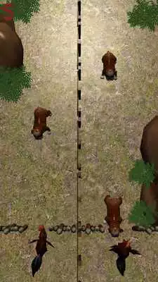 Play Puppies N Roosters Play Puppies N Roosters