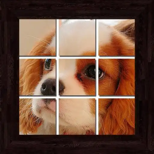 Play Puppies Puzzles - 101 pictures APK Play Puppies Puzzles - 101 pictures APK