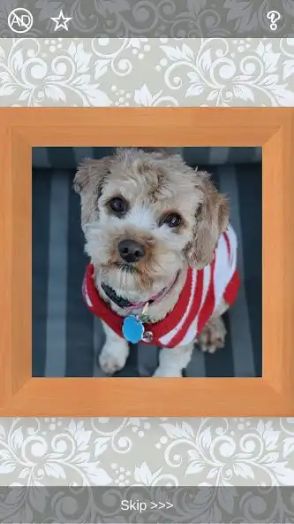 Play Puppies Puzzles - 101 pictures as an online game Puppies Puzzles - 101 pictures with UptoPlay