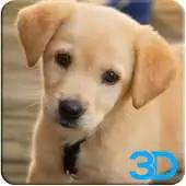 Free play online Puppies Video Wallpaper APK
