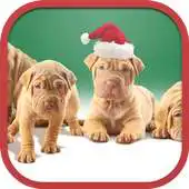 Free play online Puppies Wallpapers 2015 APK