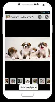 Play Puppies Wallpapers 2015