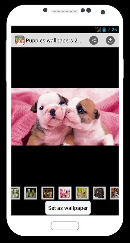 Play Puppies Wallpapers 2015