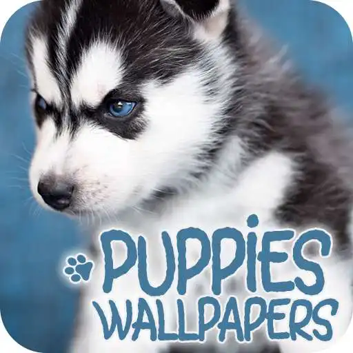 Play Puppies Wallpapers in 4K APK Play Puppies Wallpapers in 4K APK