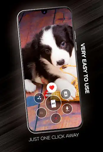 Play Puppies Wallpapers in 4K as an online game Puppies Wallpapers in 4K with UptoPlay