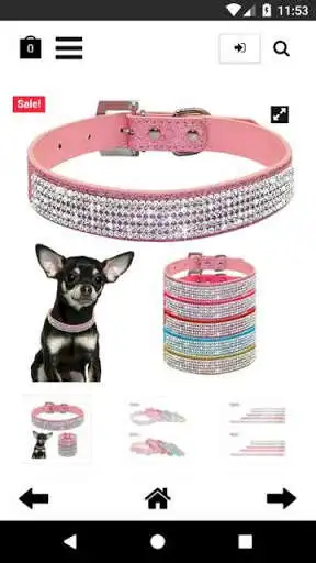 Play Puppize Shop as an online game Puppize Shop with UptoPlay