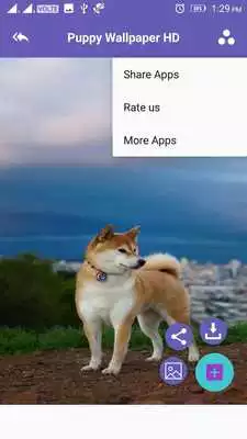 Play Puppy 4K Wallpaper
