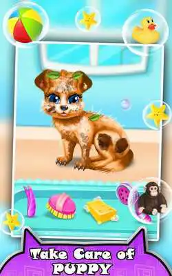 Play Puppy Care Spa: Salon