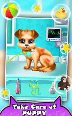 Play Puppy Care Spa: Salon