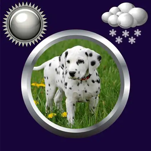 Free play online Puppy Clock & Weather Widget APK Free play online Puppy Clock & Weather Widget APK
