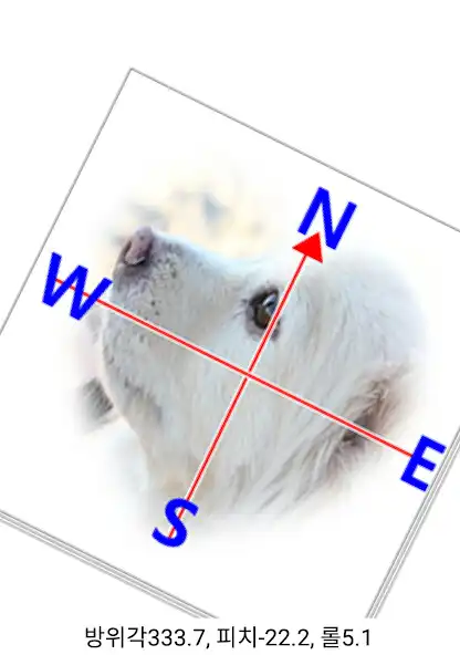 Play Puppy Compass  and enjoy Puppy Compass with UptoPlay