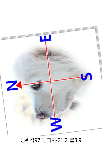 Play Puppy Compass as an online game Puppy Compass with UptoPlay