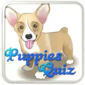 Free play online Puppy Dog Breeds Quiz APK