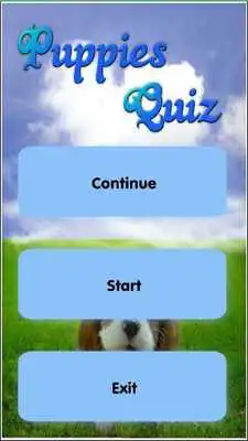 Play Puppy Dog Breeds Quiz